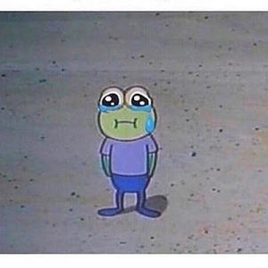 Meet your Posher, Luna